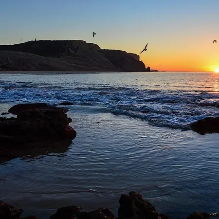 Gaivota Praia Da Luz
