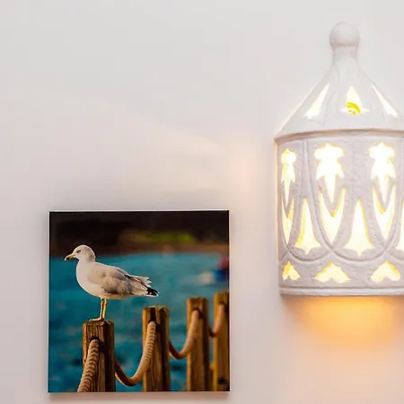 Gaivota Apartamento Luz