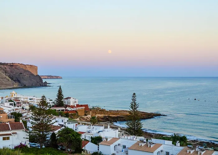 Gaivota Praia Da Luz